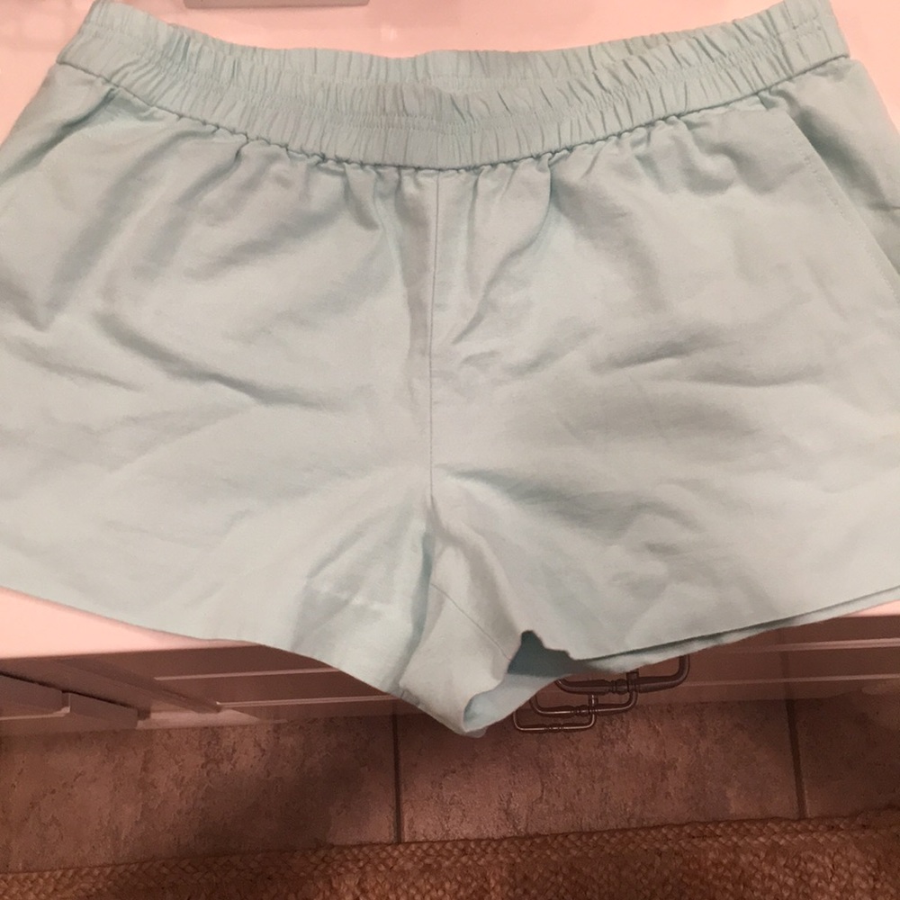 MINT colored J.Crew Shorts with Pockets